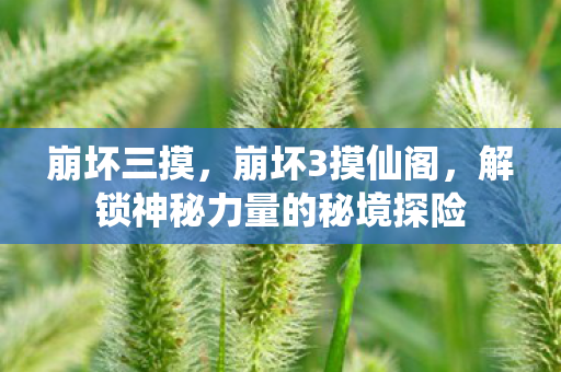 崩坏三摸，崩坏3摸仙阁，解锁神秘力量的秘境探险