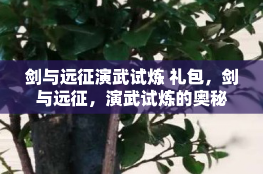 剑与远征演武试炼 礼包,剑与远征,演武试炼的奥秘 剑与远征演武试炼 礼包,剑与远征,演武试炼的奥秘