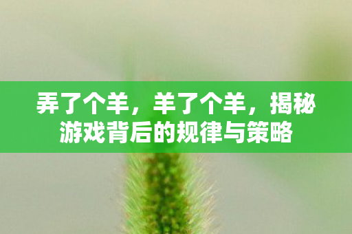 弄了个羊,羊了个羊,揭秘游戏背后的规律与策略 弄了个羊,羊了个羊,揭秘游戏背后的规律与策略