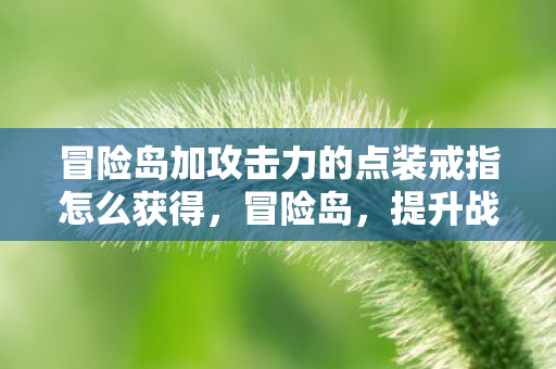 冒险岛加攻击力的点装戒指怎么获得，冒险岛，提升战斗力的必备点装攻略