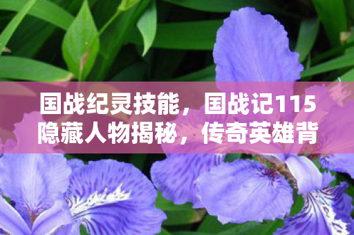 国战纪灵技能,国战记115隐藏人物揭秘,传奇英雄背后的故事 国战纪灵技能,国战记115隐藏人物揭秘,传奇英雄背后的故事