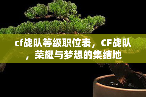 cf战队等级职位表，CF战队，荣耀与梦想的集结地