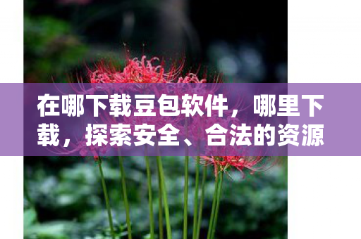 在哪下载豆包软件，哪里下载，探索安全、合法的资源获取途径