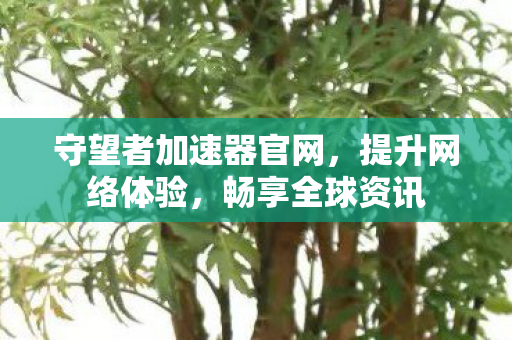 守望者加速器官网，提升网络体验，畅享全球资讯