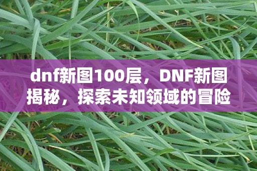 dnf新图100层,DNF新图揭秘,探索未知领域的冒险之旅 dnf新图100层,DNF新图揭秘,探索未知领域的冒险之旅