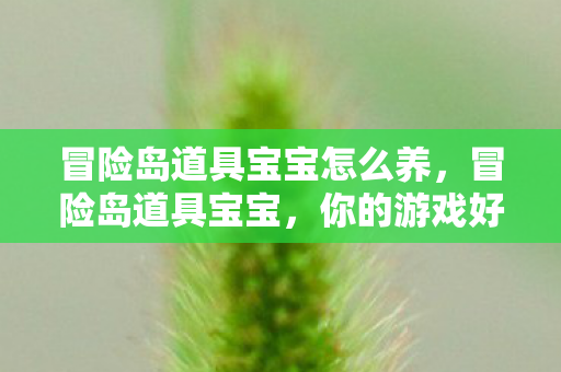 冒险岛道具宝宝怎么养，冒险岛道具宝宝，你的游戏好帮手