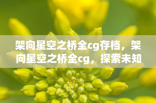 架向星空之桥全cg存档,架向星空之桥全cg,探索未知宇宙的浪漫之旅 架向星空之桥全cg存档,架向星空之桥全cg,探索未知宇宙的浪漫之旅
