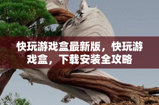 快玩游戏盒最新版，快玩游戏盒，下载安装全攻略