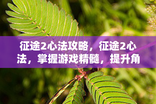 征途2心法攻略,征途2心法,掌握游戏精髓,提升角色实力 征途2心法攻略,征途2心法,掌握游戏精髓,提升角色实力