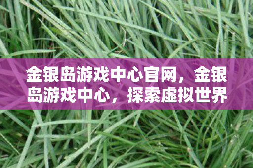 金银岛游戏中心官网,金银岛游戏中心,探索虚拟世界的无限可能 金银岛游戏中心官网,金银岛游戏中心,探索虚拟世界的无限可能