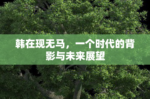 韩在现无马,一个时代的背影与未来展望 韩在现无马,一个时代的背影与未来展望