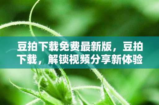 豆拍下载免费最新版，豆拍下载，解锁视频分享新体验
