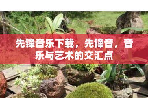 先锋音乐下载，先锋音，音乐与艺术的交汇点