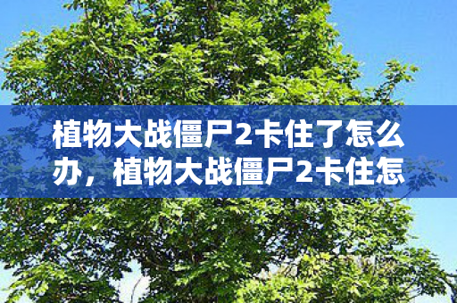 植物大战僵尸2卡住了怎么办，植物大战僵尸2卡住怎么办？