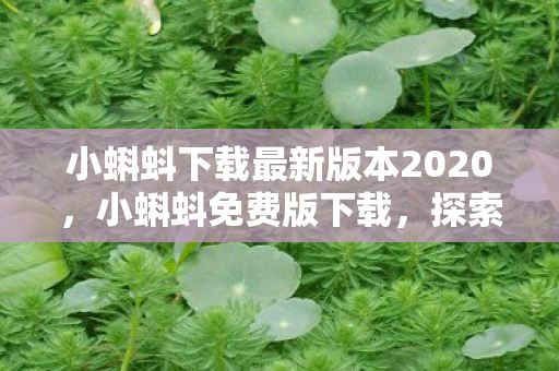 小蝌蚪下载最新版本2020，小蝌蚪免费版下载，探索与反思