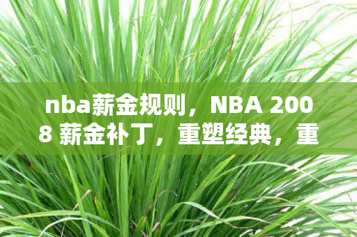 nba薪金规则，NBA 2008 薪金补丁，重塑经典，重温辉煌