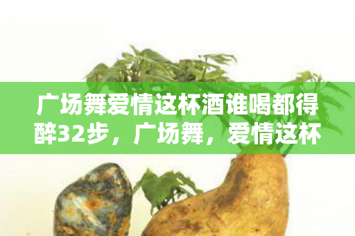 广场舞爱情这杯酒谁喝都得醉32步，广场舞，爱情这杯酒，谁喝都得醉