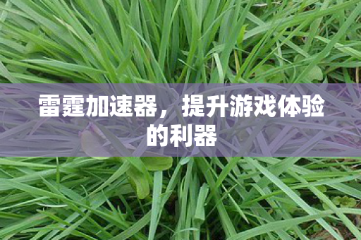雷霆加速器,提升游戏体验的利器 雷霆加速器,提升游戏体验的利器
