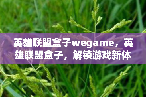 英雄联盟盒子wegame，英雄联盟盒子，解锁游戏新体验，打造个性化战场