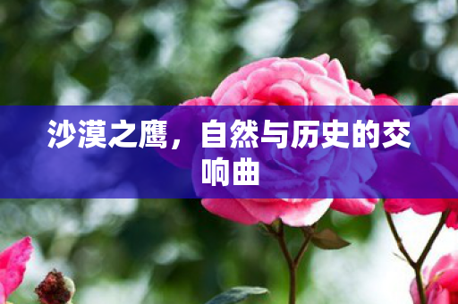 沙漠之鹰,自然与历史的交响曲 沙漠之鹰,自然与历史的交响曲