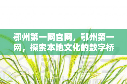 鄂州第一网官网，鄂州第一网，探索本地文化的数字桥梁