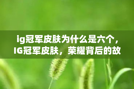 ig冠军皮肤为什么是六个,IG冠军皮肤,荣耀背后的故事与细节 ig冠军皮肤为什么是六个,IG冠军皮肤,荣耀背后的故事与细节