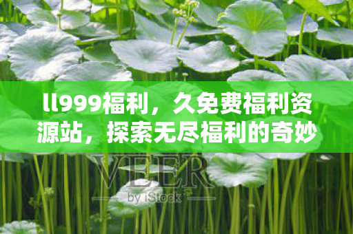 ll999福利，久免费福利资源站，探索无尽福利的奇妙之旅