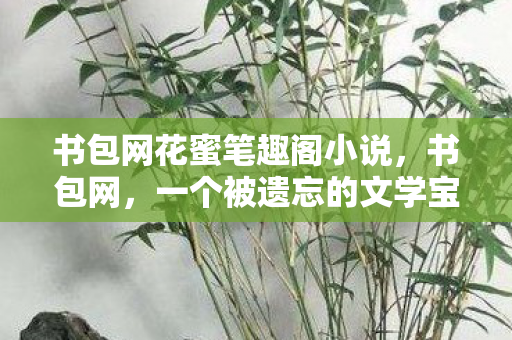 书包网花蜜笔趣阁小说,书包网,一个被遗忘的文学宝藏 书包网花蜜笔趣阁小说,书包网,一个被遗忘的文学宝藏
