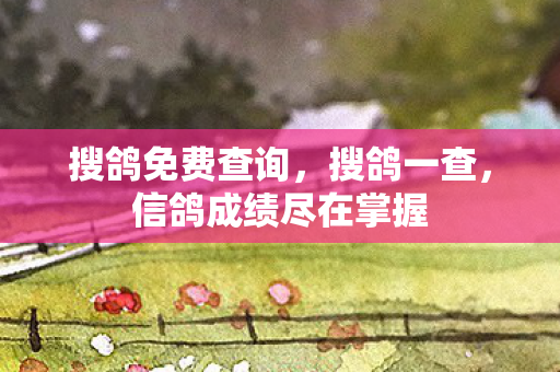 搜鸽免费查询，搜鸽一查，信鸽成绩尽在掌握
