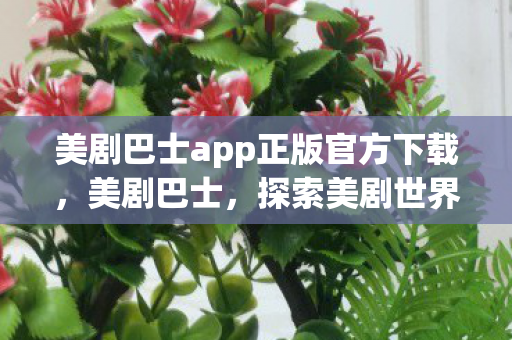 美剧巴士app正版官方下载，美剧巴士，探索美剧世界的奇妙之旅