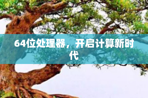 64位处理器,开启计算新时代 64位处理器,开启计算新时代