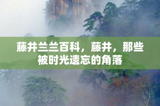 藤井兰兰百科，藤井，那些被时光遗忘的角落