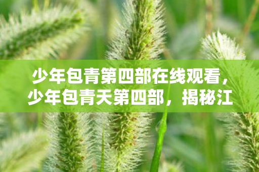 少年包青第四部在线观看,少年包青天第四部,揭秘江湖奇案,再续经典传奇 少年包青第四部在线观看,少年包青天第四部,揭秘江湖奇案,再续经典传奇