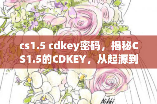 cs1.5 cdkey密码,揭秘CS1.5的CDKEY,从起源到影响 cs1.5 cdkey密码,揭秘CS1.5的CDKEY,从起源到影响
