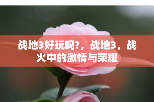战地3好玩吗?,战地3,战火中的激情与荣耀 战地3好玩吗?,战地3,战火中的激情与荣耀