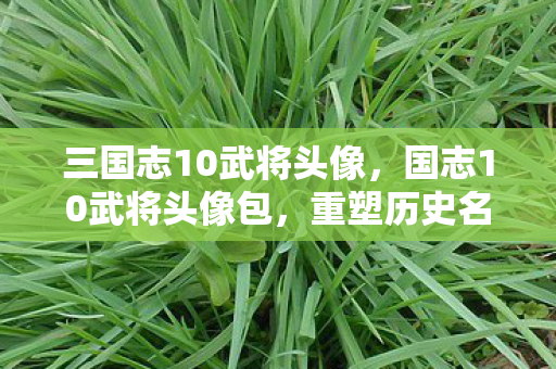 三国志10武将头像,国志10武将头像包,重塑历史名将风采 三国志10武将头像,国志10武将头像包,重塑历史名将风采