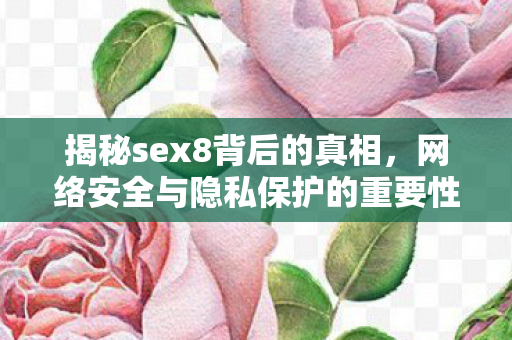 揭秘sex8背后的真相，网络安全与隐私保护的重要性