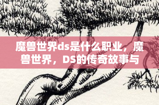魔兽世界ds是什么职业，魔兽世界，DS的传奇故事与影响