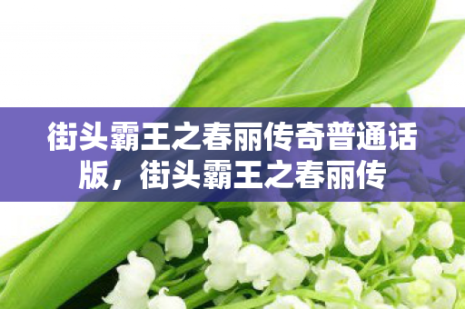 街头霸王之春丽传奇普通话版,街头霸王之春丽传 街头霸王之春丽传奇普通话版,街头霸王之春丽传