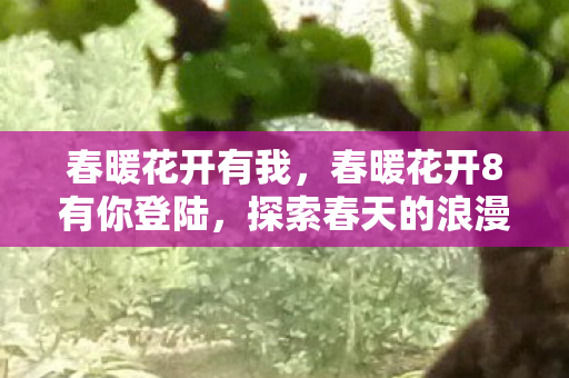 春暖花开有我,春暖花开8有你登陆,探索春天的浪漫与希望 春暖花开有我,春暖花开8有你登陆,探索春天的浪漫与希望
