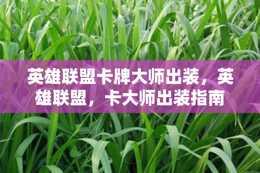 英雄联盟卡牌大师出装，英雄联盟，卡大师出装指南