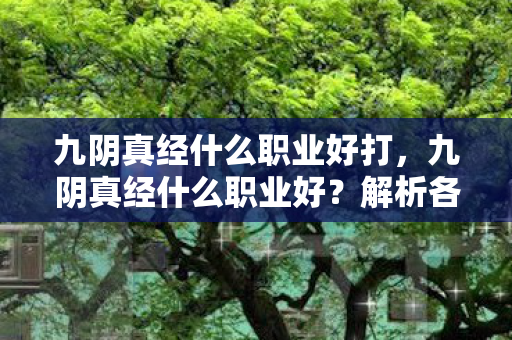 九阴真经什么职业好打,九阴真经什么职业好?解析各职业优劣,助你做出明智选择 九阴真经什么职业好打,九阴真经什么职业好?解析各职业优劣,助你做出明智选择