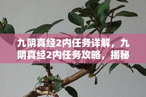 九阴真经2内任务详解,九阴真经2内任务攻略,揭秘隐藏任务与技巧 九阴真经2内任务详解,九阴真经2内任务攻略,揭秘隐藏任务与技巧