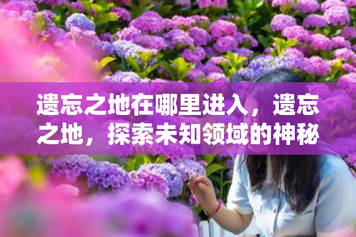 遗忘之地在哪里进入,遗忘之地,探索未知领域的神秘之旅 遗忘之地在哪里进入,遗忘之地,探索未知领域的神秘之旅