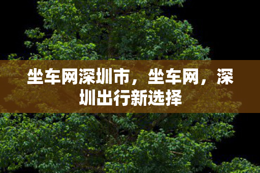 坐车网深圳市，坐车网，深圳出行新选择