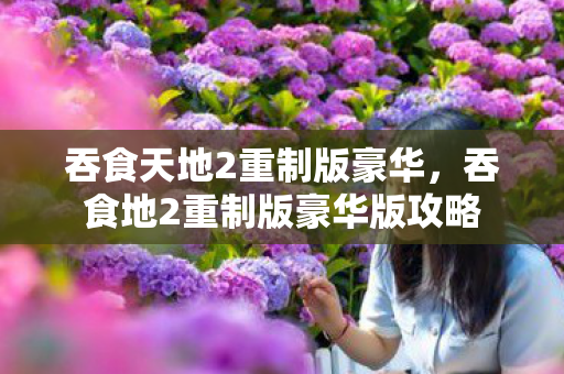 吞食天地2重制版豪华,吞食地2重制版豪华版攻略 吞食天地2重制版豪华,吞食地2重制版豪华版攻略