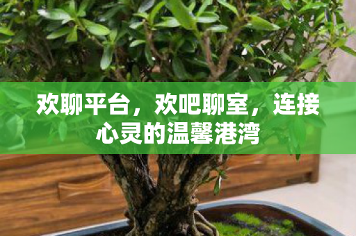 欢聊平台，欢吧聊室，连接心灵的温馨港湾