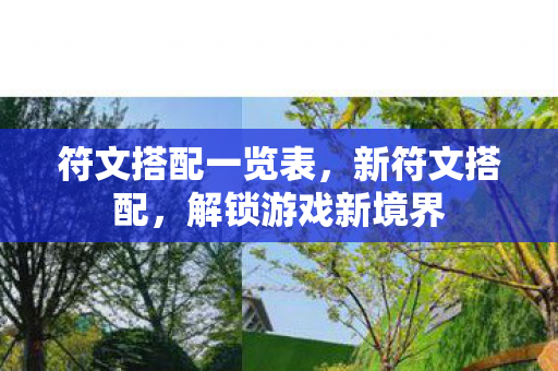 符文搭配一览表，新符文搭配，解锁游戏新境界