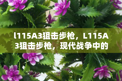 l115A3狙击步枪,L115A3狙击步枪,现代战争中的精准利器 l115A3狙击步枪,L115A3狙击步枪,现代战争中的精准利器