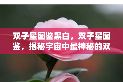 双子星图鉴黑白,双子星图鉴,揭秘宇宙中最神秘的双星系统 双子星图鉴黑白,双子星图鉴,揭秘宇宙中最神秘的双星系统